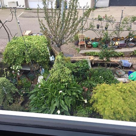 Reiwa Bed & Breakfast Amsterdam Ngoại thất bức ảnh